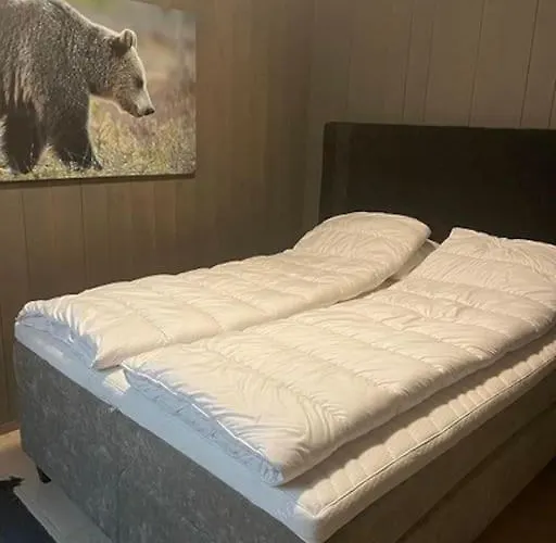 Alpin Lodge! In Out Hovden (Aust-Agder)