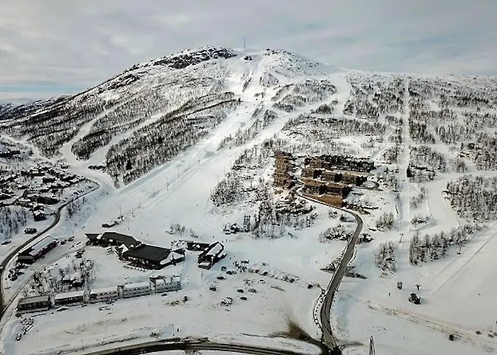 Alpin Lodge! In Out * Hovden (Aust-Agder)