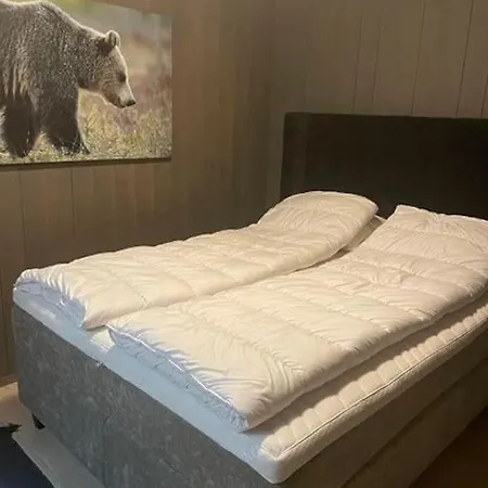 Alpin Lodge! In Out Hovden (Aust-Agder)