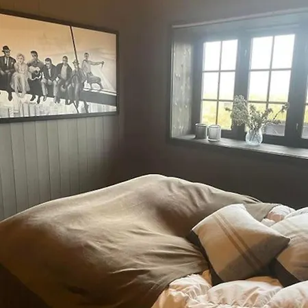 Alpin Lodge! In Out * Hovden (Aust-Agder)